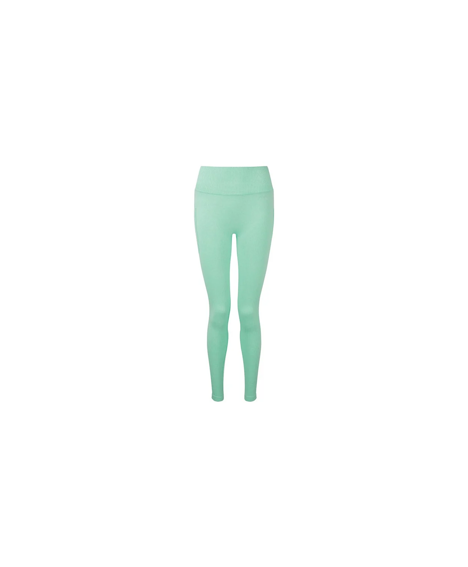 Polybear Ribbed Seamless Peppermint Leggings