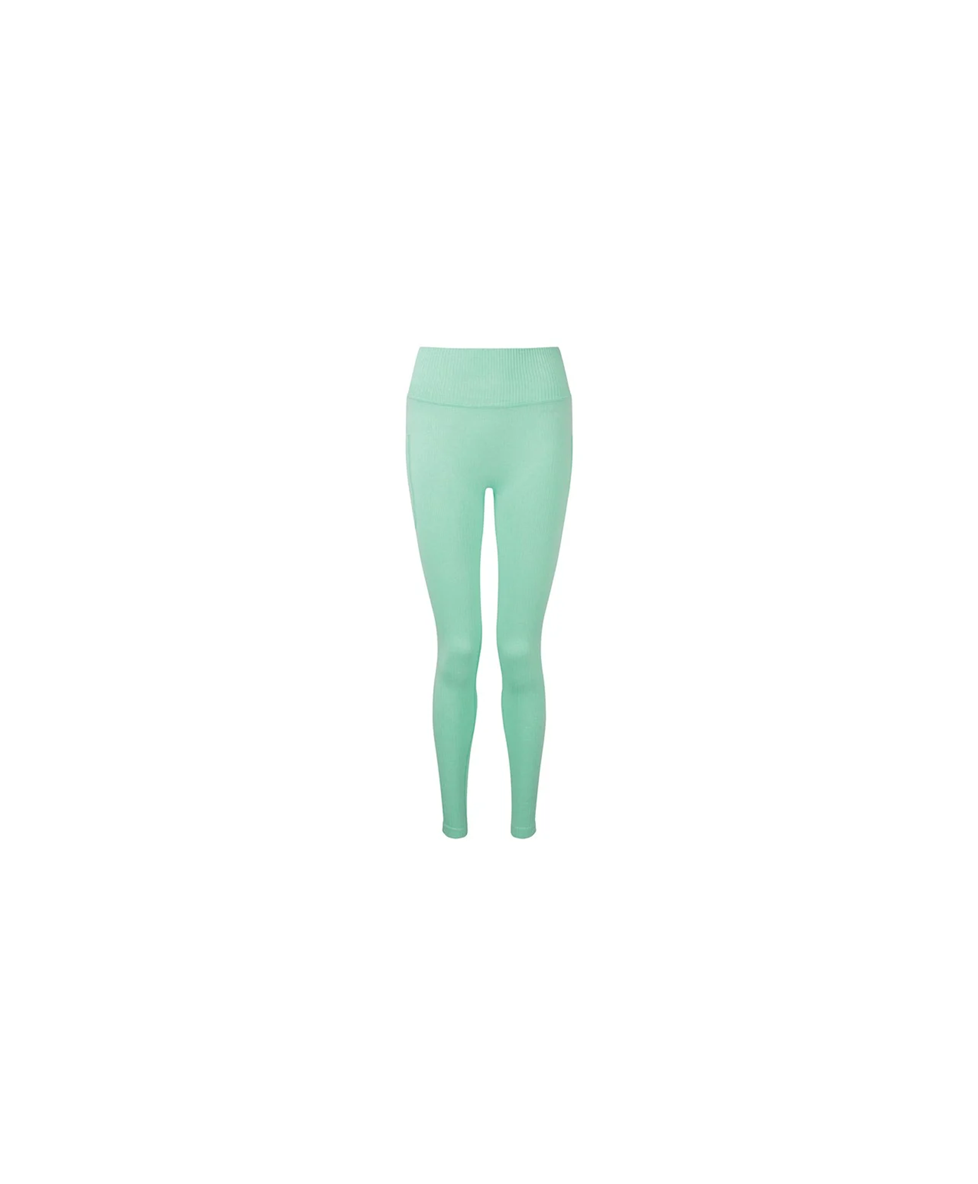 Polybear Ribbed Seamless Peppermint Leggings